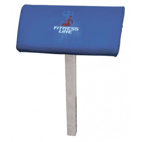 Scott Bench Interatletika ST005.3