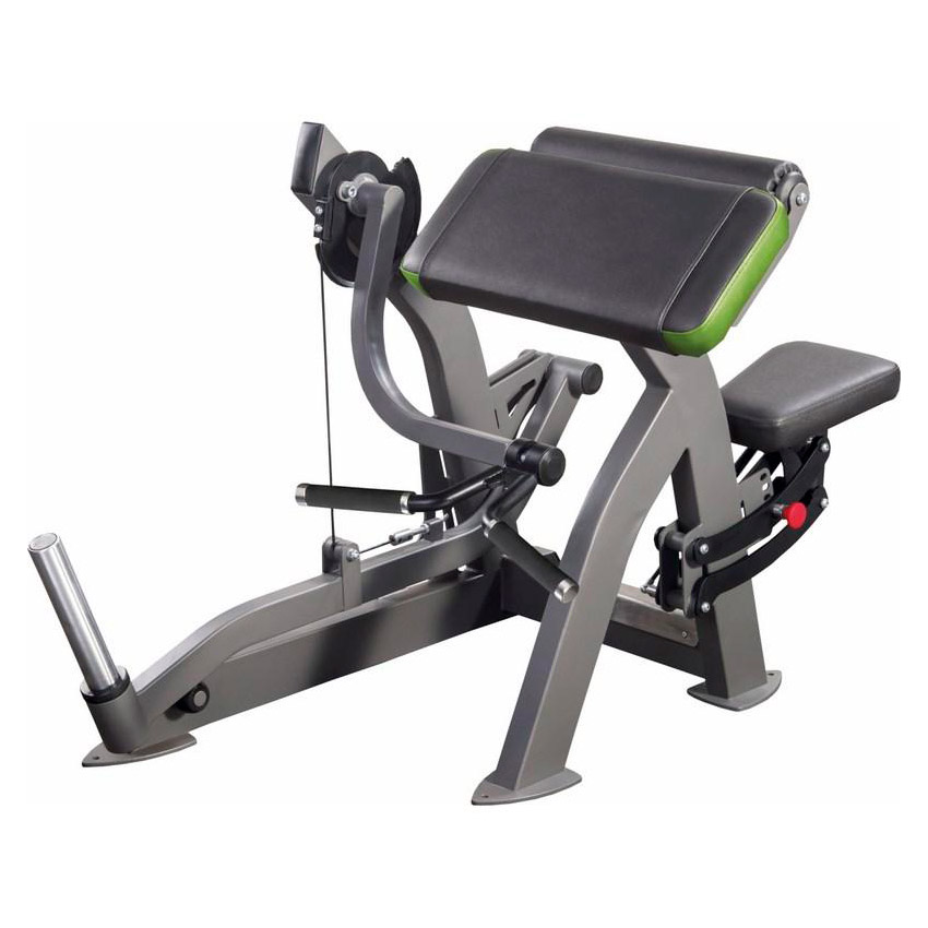 Buy Biceps Machine Inter Atletika XR208 in Europe