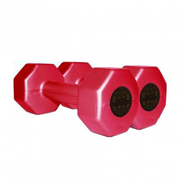 Colored plastic dumbbells - 2kg Interatletika ST560.2-2