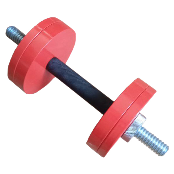 Dumbbell 12 kg Interatletika ST561