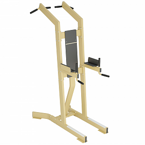 Assisted Pull-Up/Dip Trainer Inter Atletika KF814