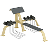 Scott Bench Inter Atletika KF815 with dumbbells and bench