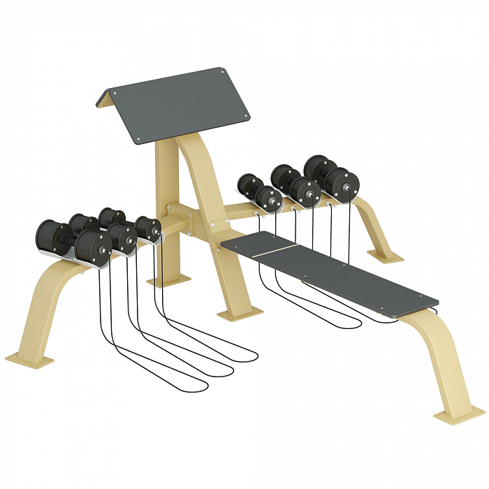Scott Bench Inter Atletika KF815 with dumbbells and bench