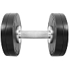 Premium Professional Dumbbell ST555.17,5 (chromed, 17,5 kg)