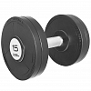 Premium Professional Dumbbell ST555.10-P (paint and varnish coating, 10 kg)