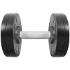 Premium Professional Dumbbell ST555.12,5-P (paint and varnish coating, 12,5 kg)