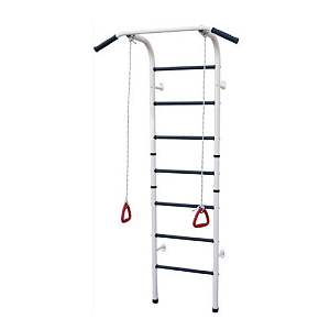 Swedish ladder «Atlet-1» Interatletika ST051