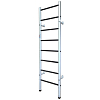Ladder «Elit»  with plastic rungs 2.4 m Interatletika ST055.1