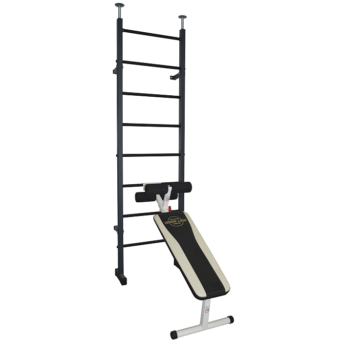 Swedish wall bars Interatletika HL001.1