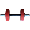 Dumbbell 12 kg Interatletika ST561