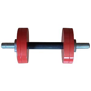 Dumbbell 12 kg Interatletika ST561