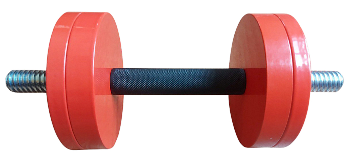 Dumbbell 12 kg Interatletika ST561