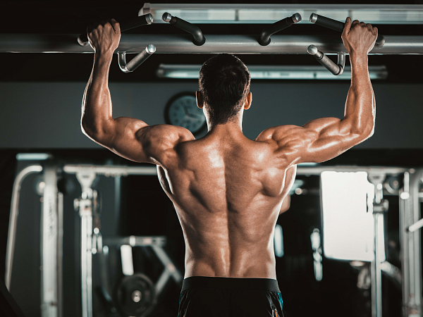 Chin Up Bars