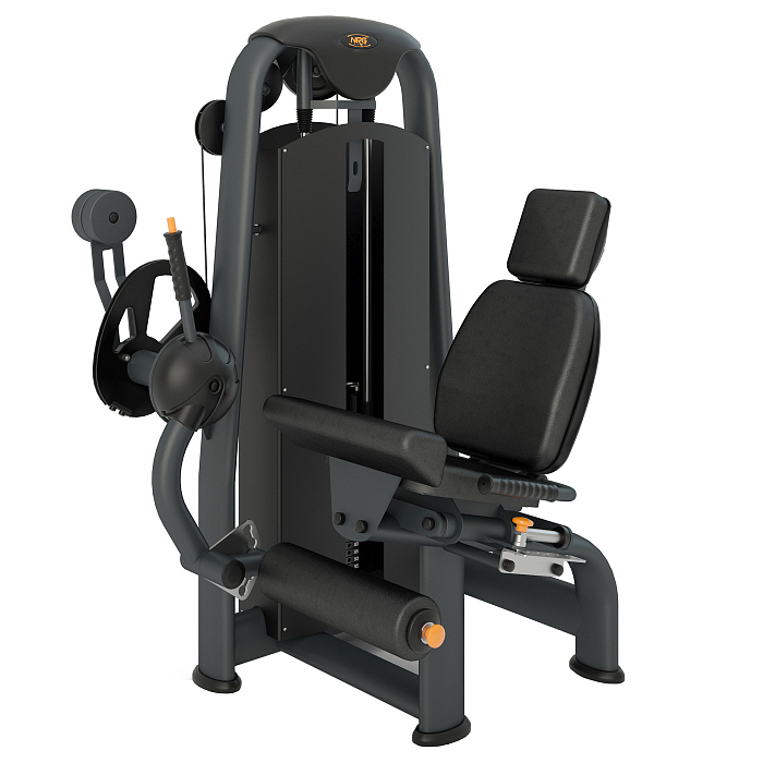 Leg Extension Inter Atletika N103