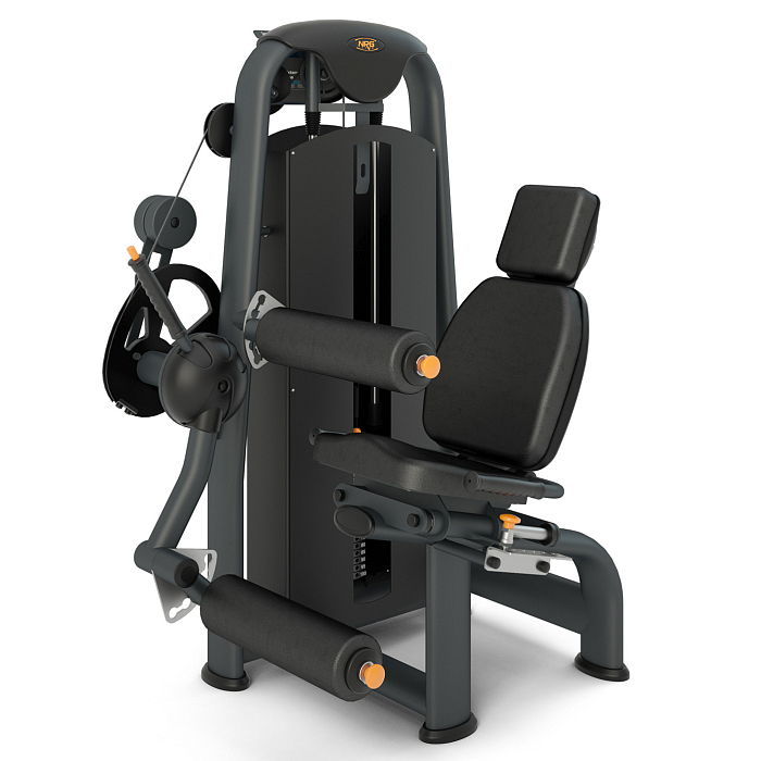 Leg Curl Inter Atletika N104