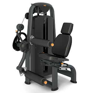 Leg Curl Inter Atletika N104