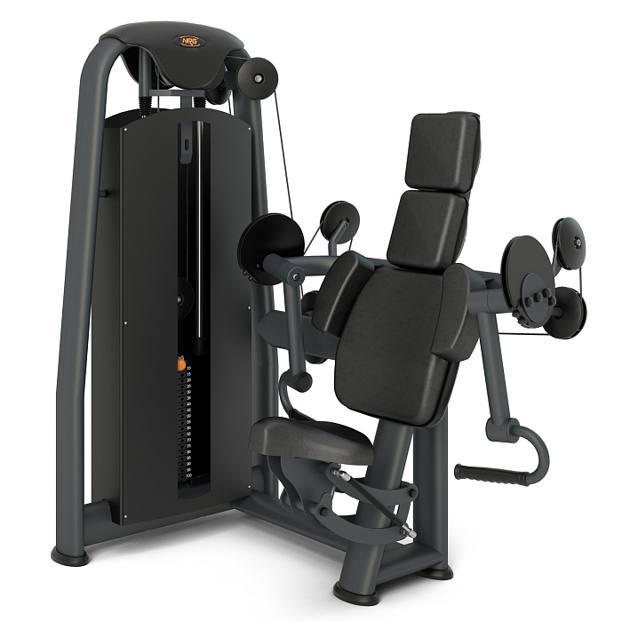 Biceps Machine Inter Atletika N117