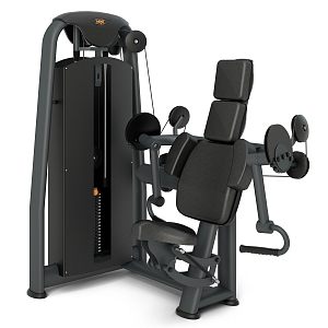 Biceps Machine Inter Atletika N117